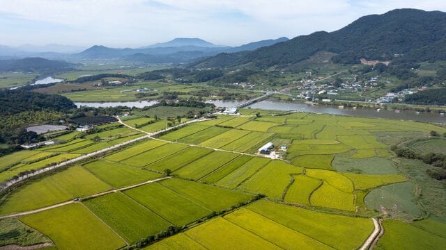 ‘농어촌기본소득’ 시범사업 10개지역 2월부터 지급