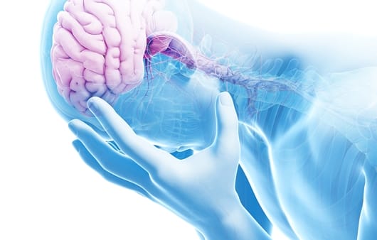 뇌졸중은 갑작스럽게 뇌가 망가져 기능을 하지 못하는 상태로 뇌경색(허혈성 뇌졸중)과 뇌출혈(출혈성 뇌졸중)로 나뉩니다.