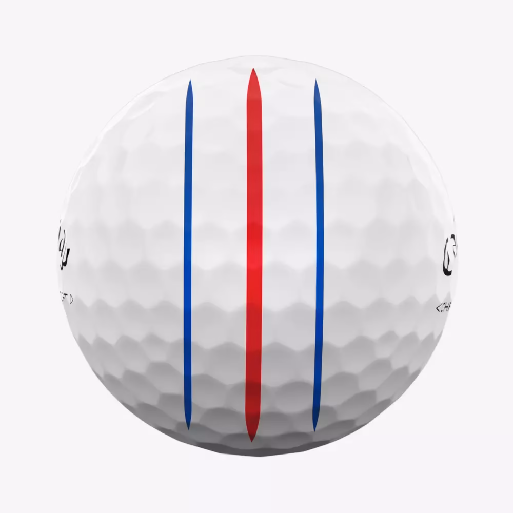 트리플 트랙 기술의 고급 정렬