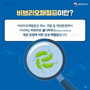 수인성·식품매개감염병 중 비브리오패혈증 예방수칙