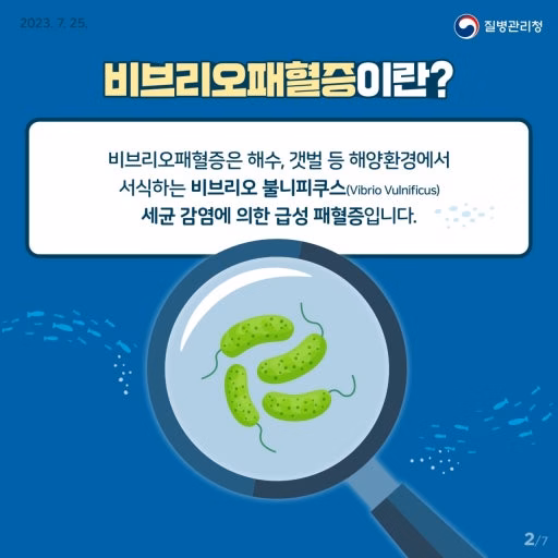 수인성·식품매개감염병 중 비브리오패혈증 예방수칙